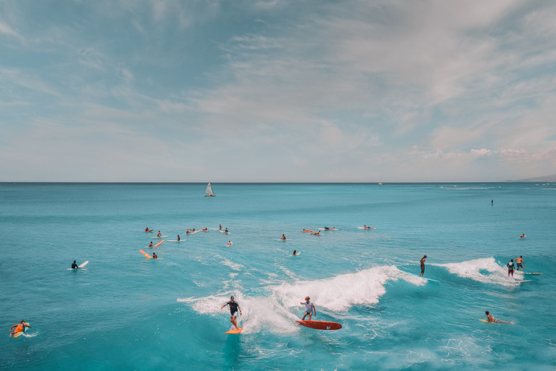 植物界的伪装大师:多肉植物如何欺骗你的眼睛?(图1) 植物界的伪装大师:多肉植物如何欺骗你的眼睛?(图1)