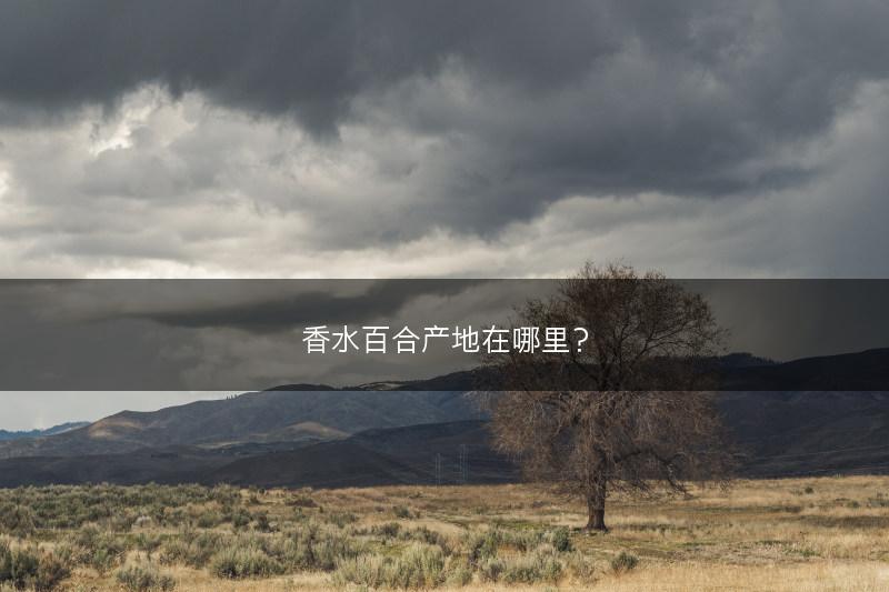香水百合产地在哪里？(图1)