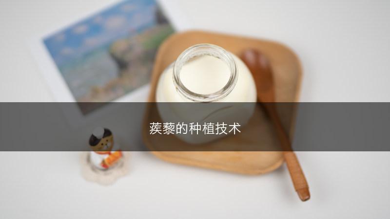 蒺藜的种植技术(图1)