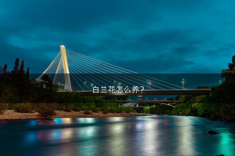 车前草怎么吃、车前草的功效(图1)
