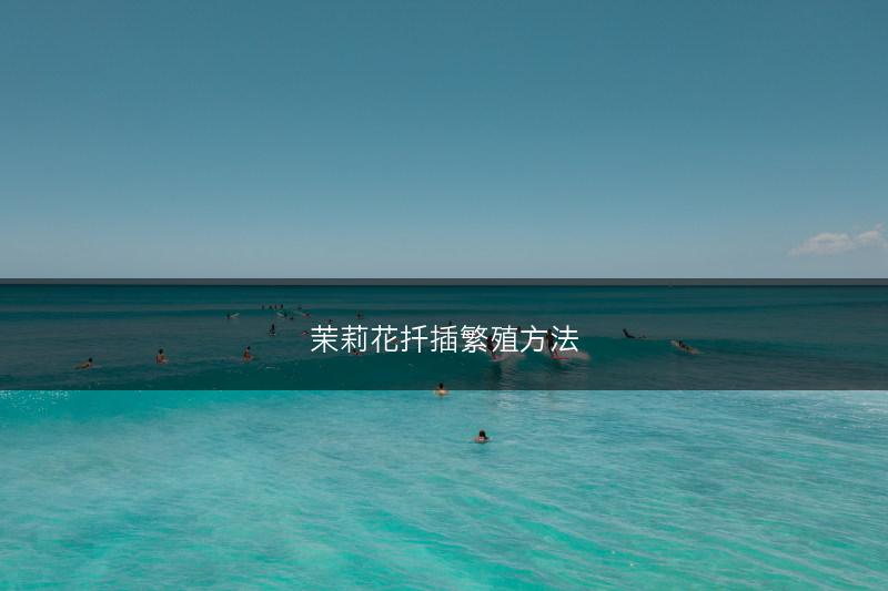 茉莉花扦插繁殖方法(图1)