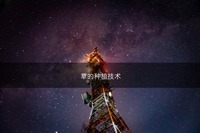 葎草的种植技术(图1)
