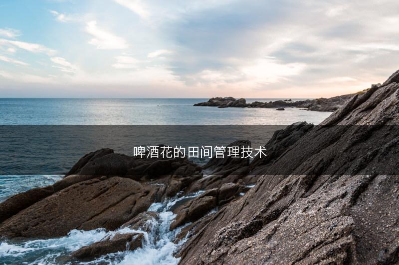 啤酒花的田间管理技术(图1)