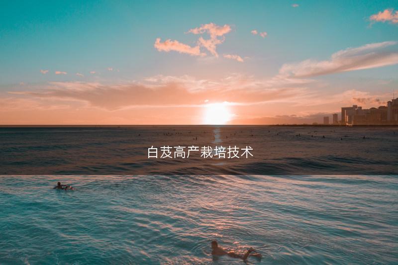 白芨高产栽培技术(图1)