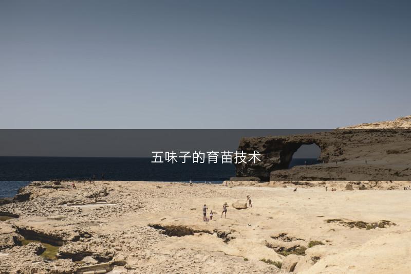 五味子的育苗技术(图1)