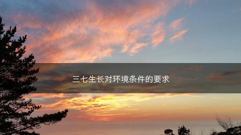 三七生长对环境条件的要求(图1)