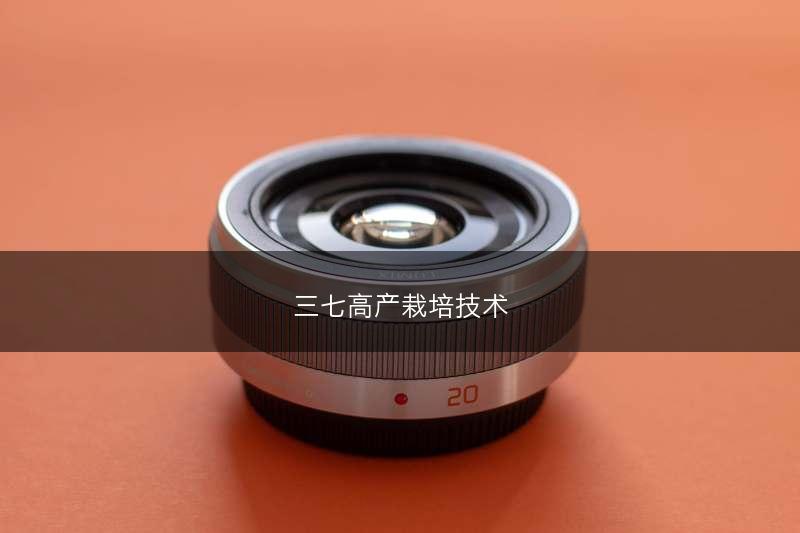 三七高产栽培技术(图1)