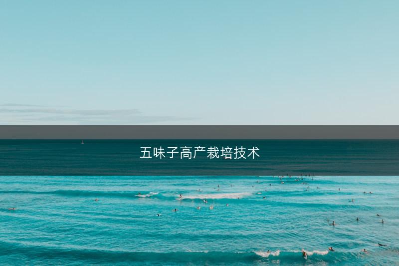 五味子高产栽培技术(图1)
