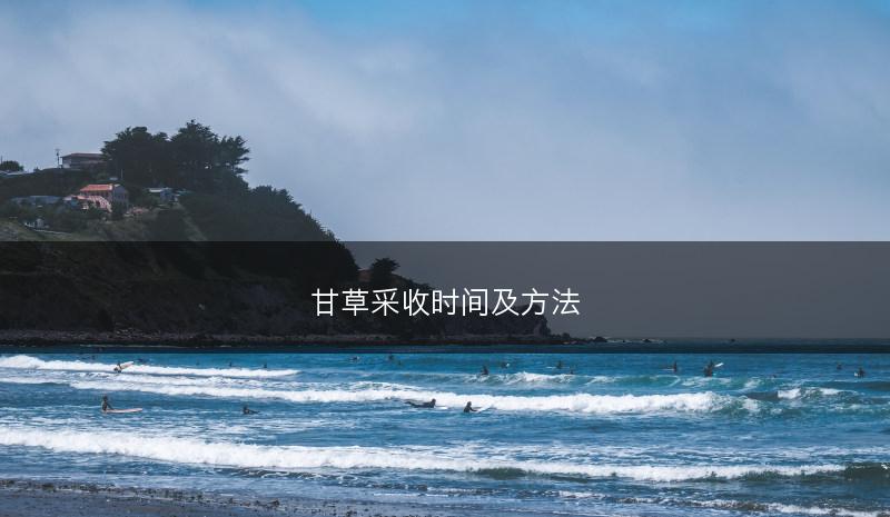 甘草采收时间及方法(图1)