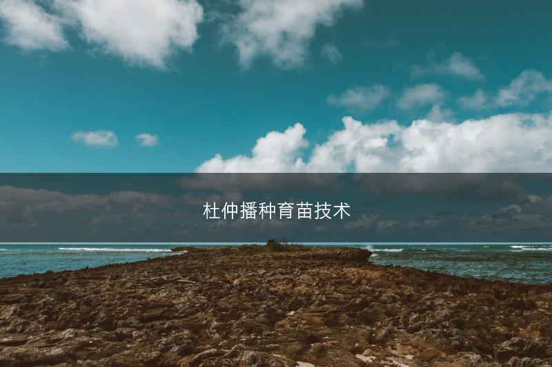 杜仲播种育苗技术(图1)