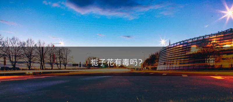 细辛多少钱一斤 种植前景如何(图1)