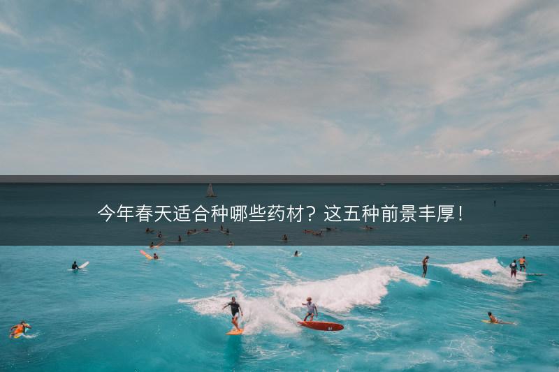 黄芪的种植要点(图1)