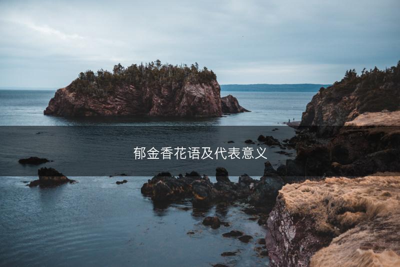 沙参多少钱一斤 沙参种植方法有哪些(图1)
