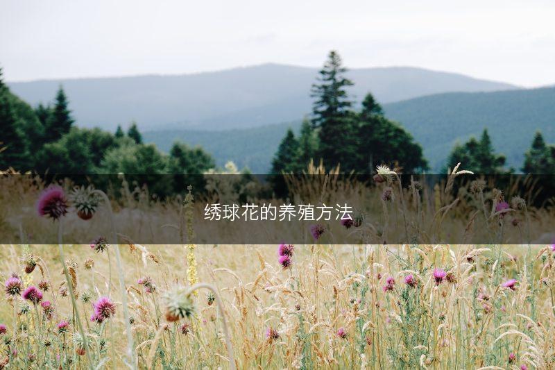 天麻什么地方可以种植 什么时候采收好(图1)