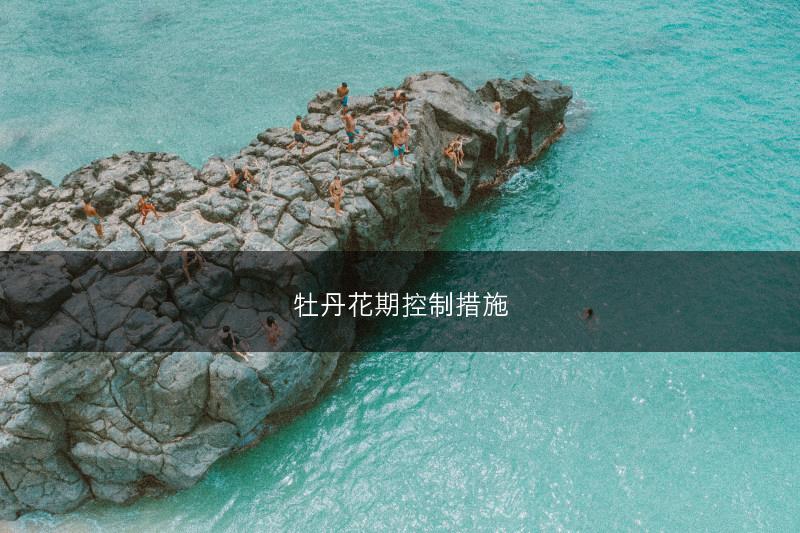 三七怎样栽培 三七的栽培技术(图1)