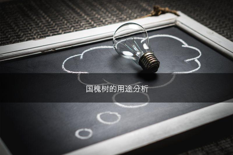 三七常见病虫害有哪些 如何防治三七病虫害(图1)