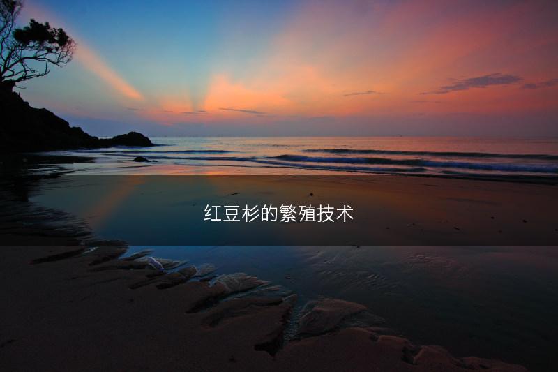 铁皮石斛什么时候开花，花期多长？(图1)