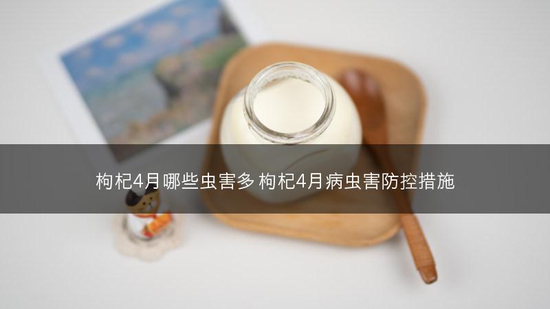 白芨的育苗方法(图1)