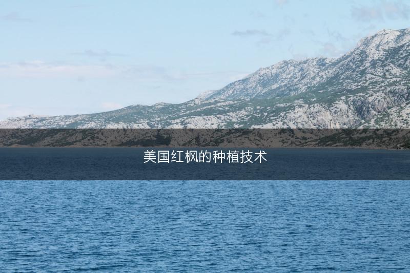 三七的种植条件有哪些 三七怎么整地施肥(图1)