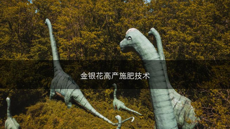 金银花高产施肥技术(图1)