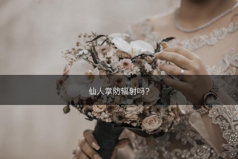 牛蒡有哪些价值，牛蒡的主要价值介绍(图1)