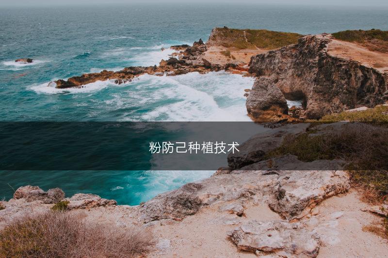粉防己种植技术(图1)