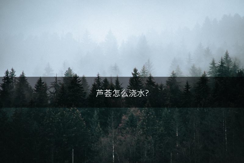 薄荷可以水培吗，薄荷怎么浇水呢(图1)
