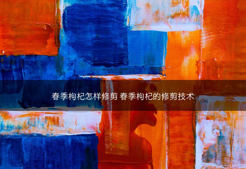 春季枸杞怎样修剪 春季枸杞的修剪技术(图1)