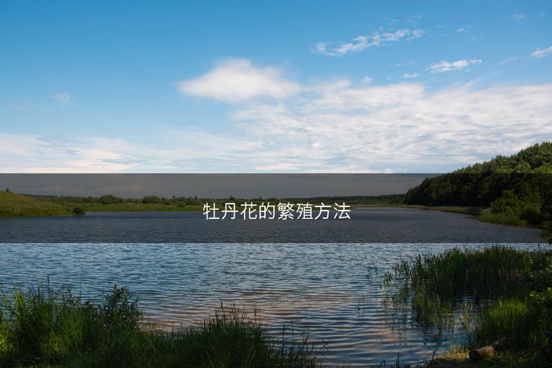 天麻的有性繁殖技术(图1)