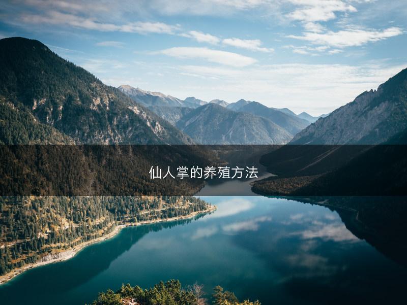 牛蒡有什么好处，牛蒡的药用功效介绍(图1)