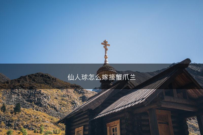 仙人球怎么嫁接蟹爪兰(图1)