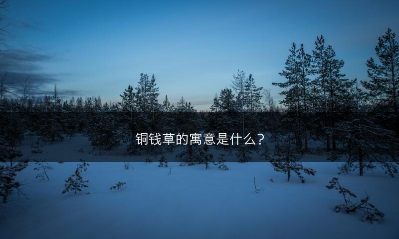 铜钱草的寓意是什么？(图1)
