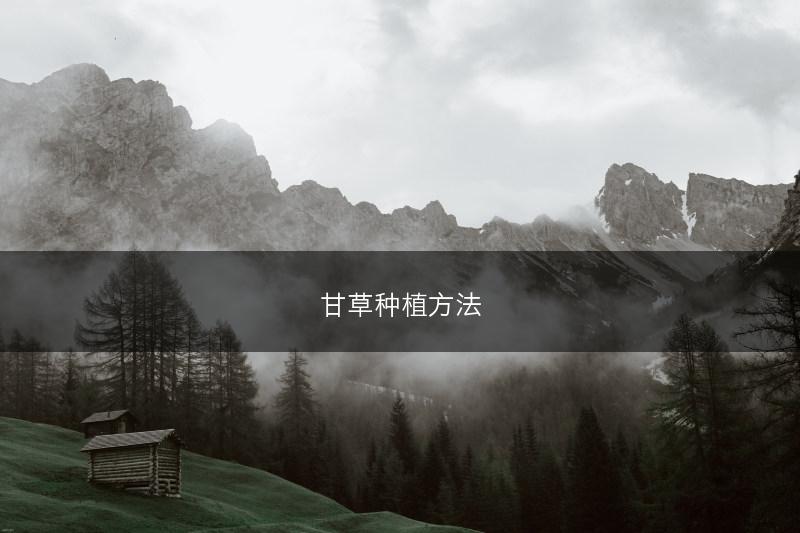 甘草种植方法(图1)