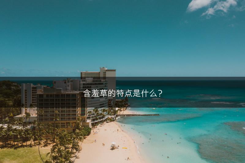 含羞草的特点是什么？(图1)