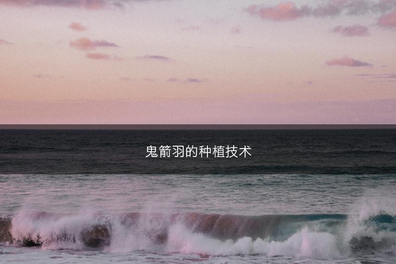 鬼箭羽的种植技术(图1)