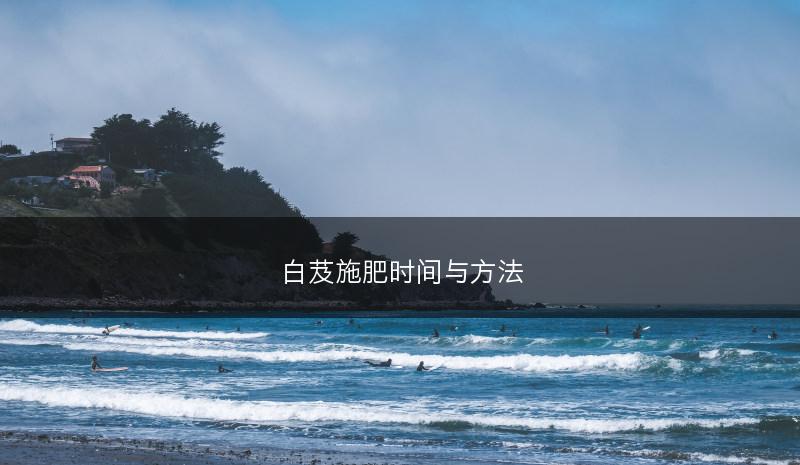 白芨施肥时间与方法(图1)