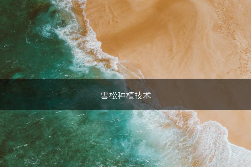 雪松种植技术(图1)