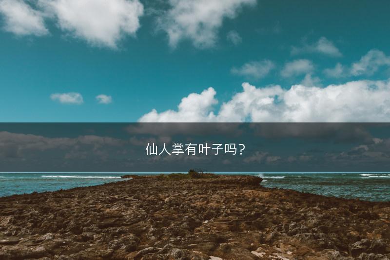 仙人掌有叶子吗？(图1)
