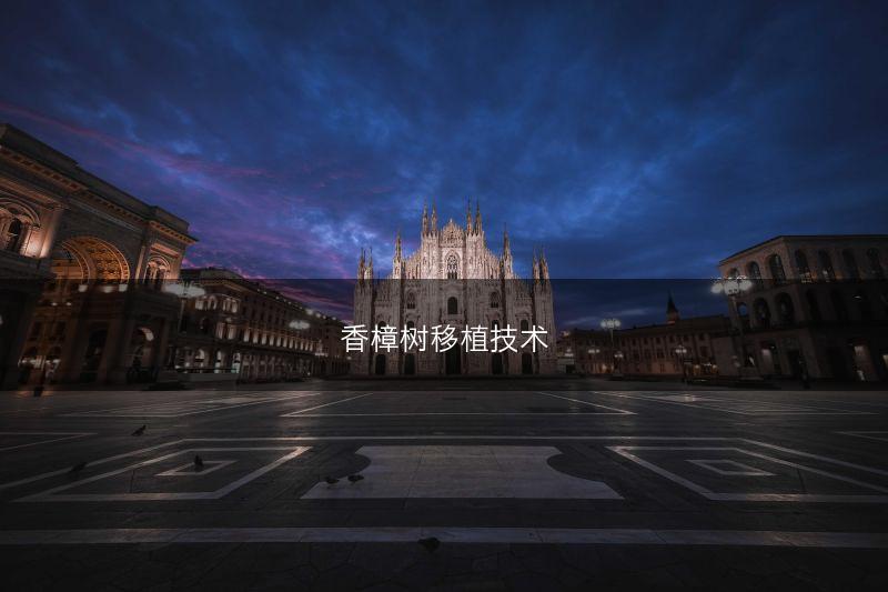 香樟树移植技术(图1)