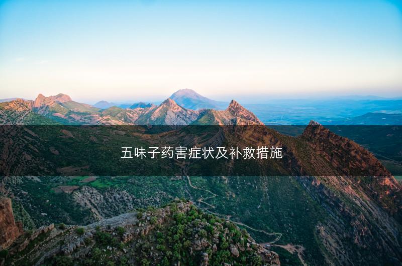 五味子药害症状及补救措施(图1)