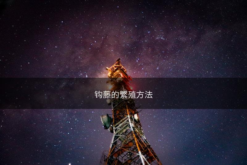 钩藤的繁殖方法(图1)