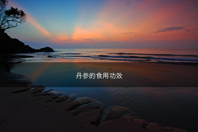 丹参的食用功效(图1)