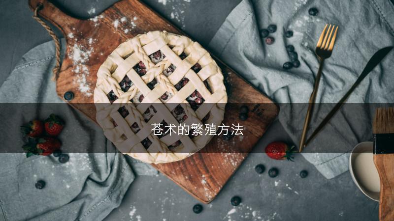 苍术的繁殖方法(图1)