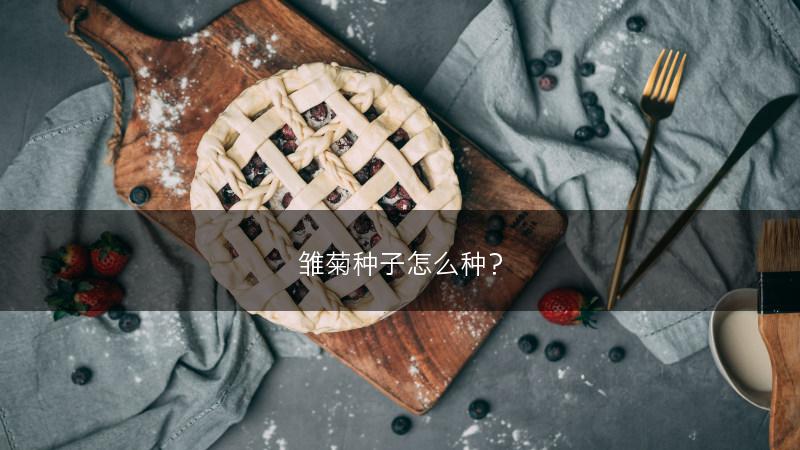 雏菊种子怎么种？(图1)