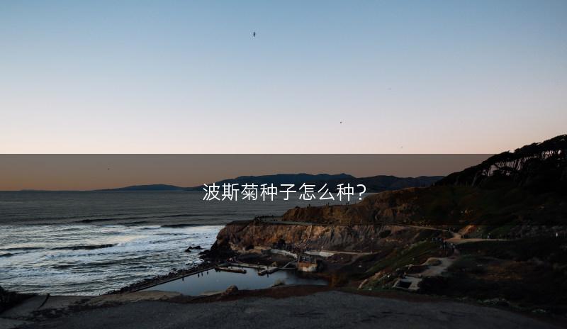 波斯菊种子怎么种？(图1)