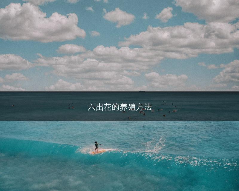 六出花的养殖方法(图1)