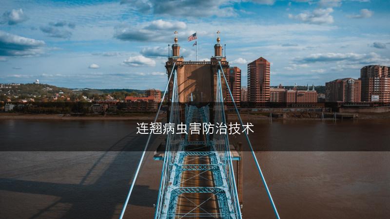连翘病虫害防治技术(图1)