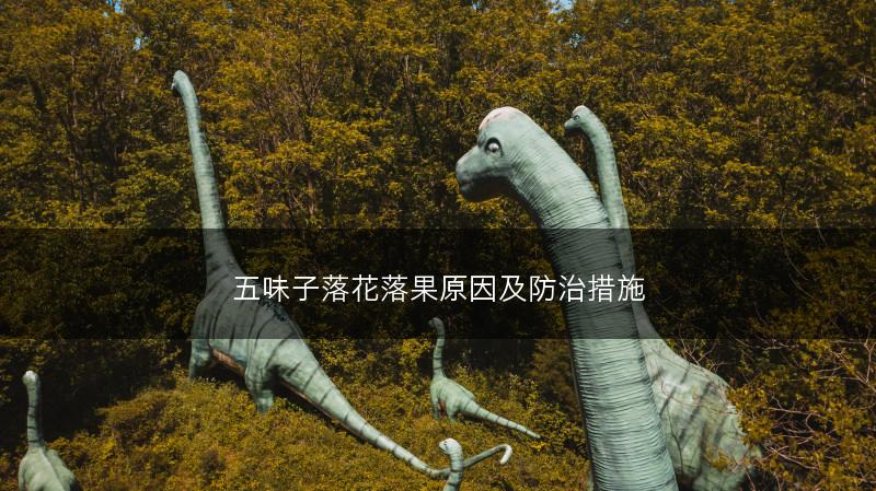 五味子落花落果原因及防治措施(图1)