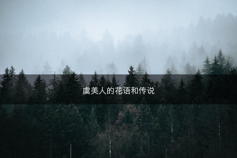 虞美人的花语和传说(图1)