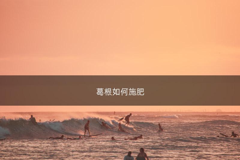 葛根如何施肥(图1)